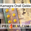 Kamagra Orall Gelée new06